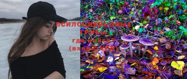 PSILOCYBIN Кодинск