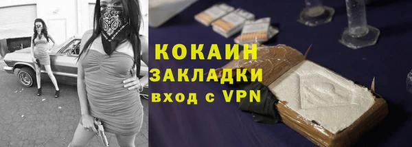мдпв Козельск