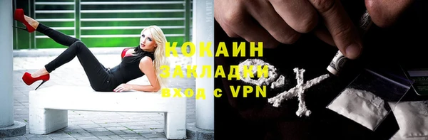 сатива Киренск