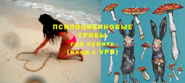 PSILOCYBIN Кодинск